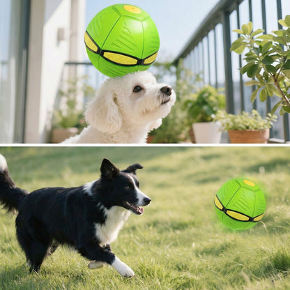 PetsLoveStory® BouncePop Ball