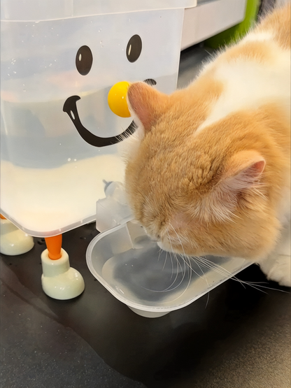 Dispensador de água para animais de estimação com pernas e torneira em formato de rosto sorridente