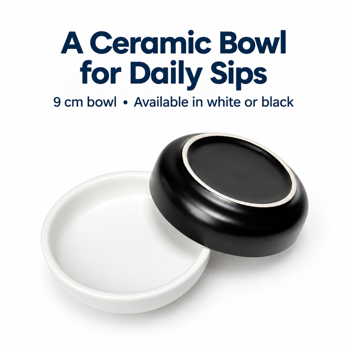 Self-Refilling Pet Water Dispenser – New Design