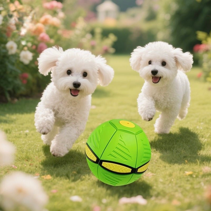 PetsLoveStory® BouncePop Ball
