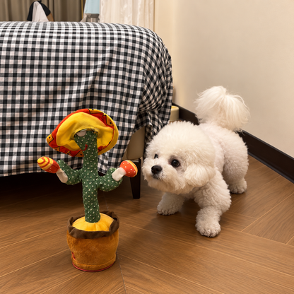 Dancing Cactus Toy