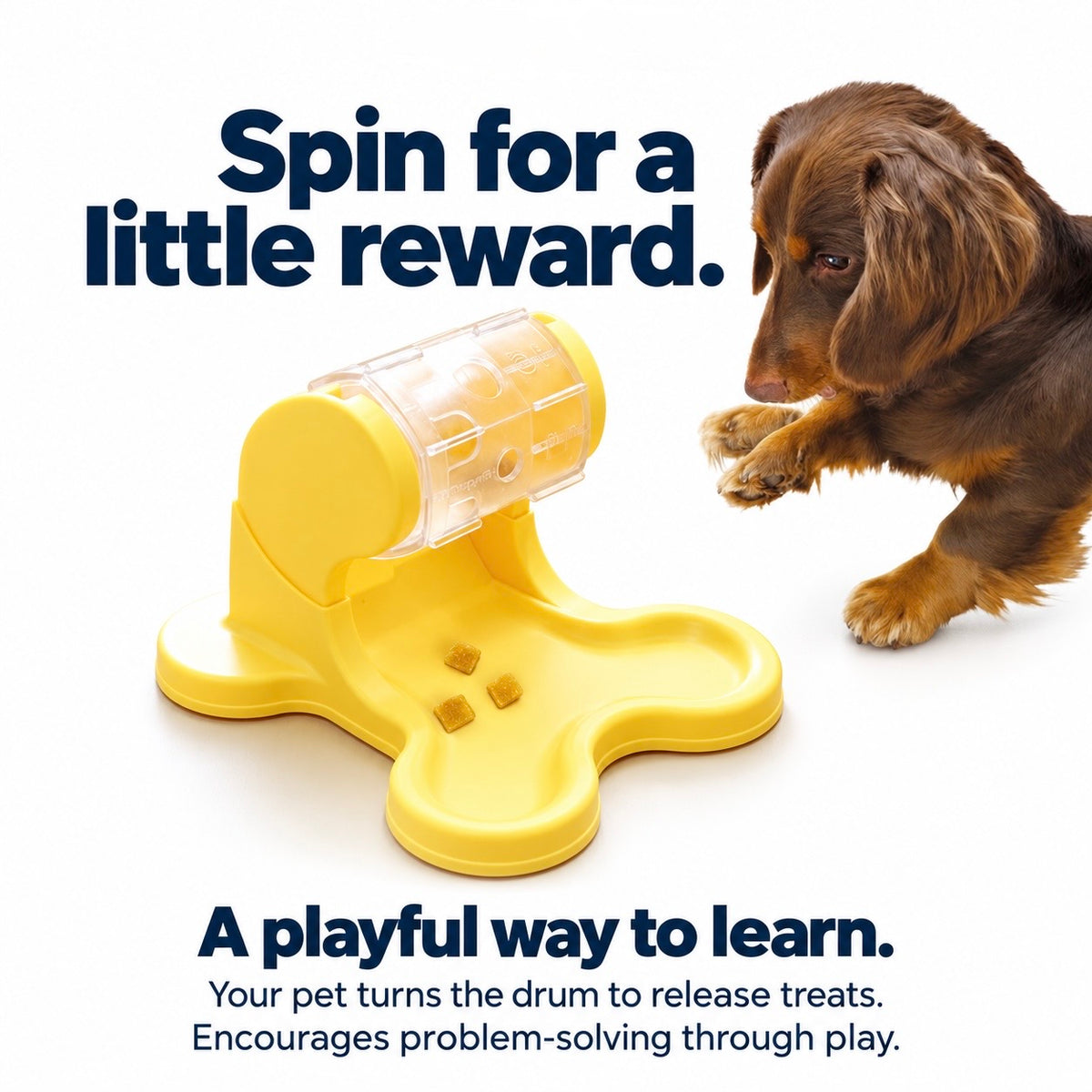 Spin & Drop Treat Dispenser Toy