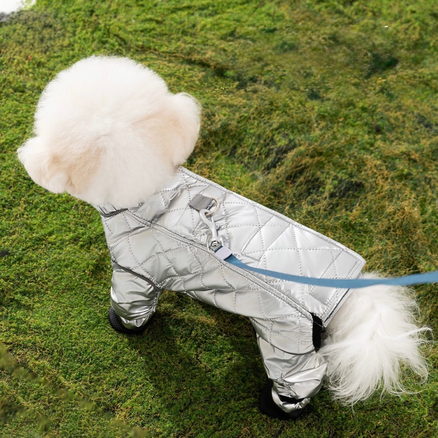 Four-Legged Pants For Teddy Dogs