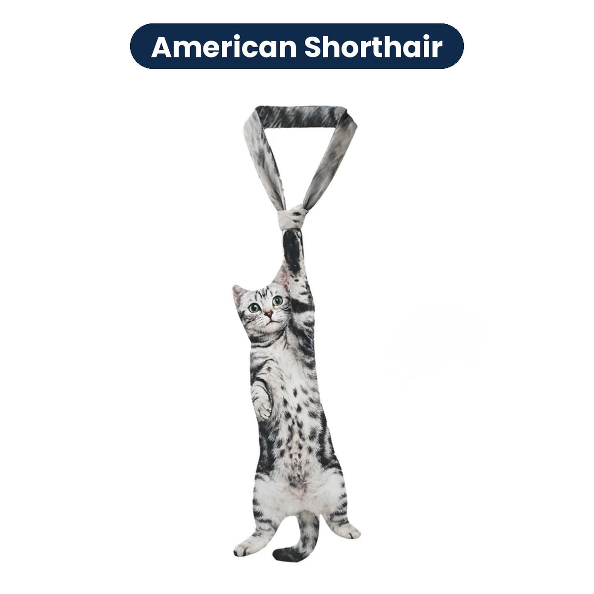 Custom Pet Tie