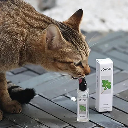 Catnip Cat Joy Spray