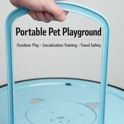 Transparent Cat Walking Roller