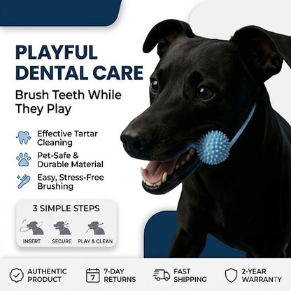 Dog Playful Dental Care