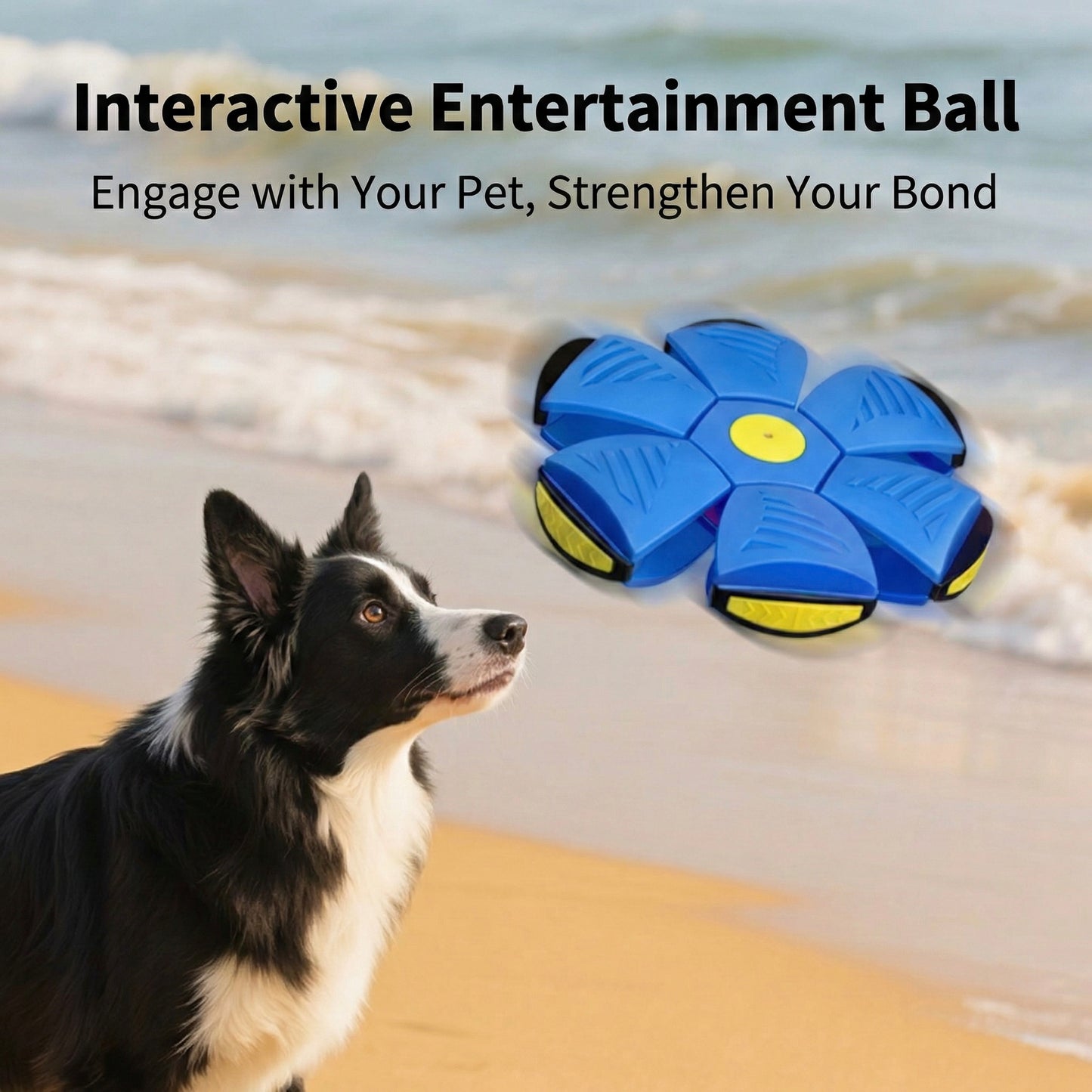 PetsLoveStory® BouncePop Ball