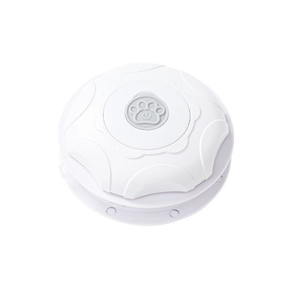 Automatic Self-Play Cat Teaser Toy