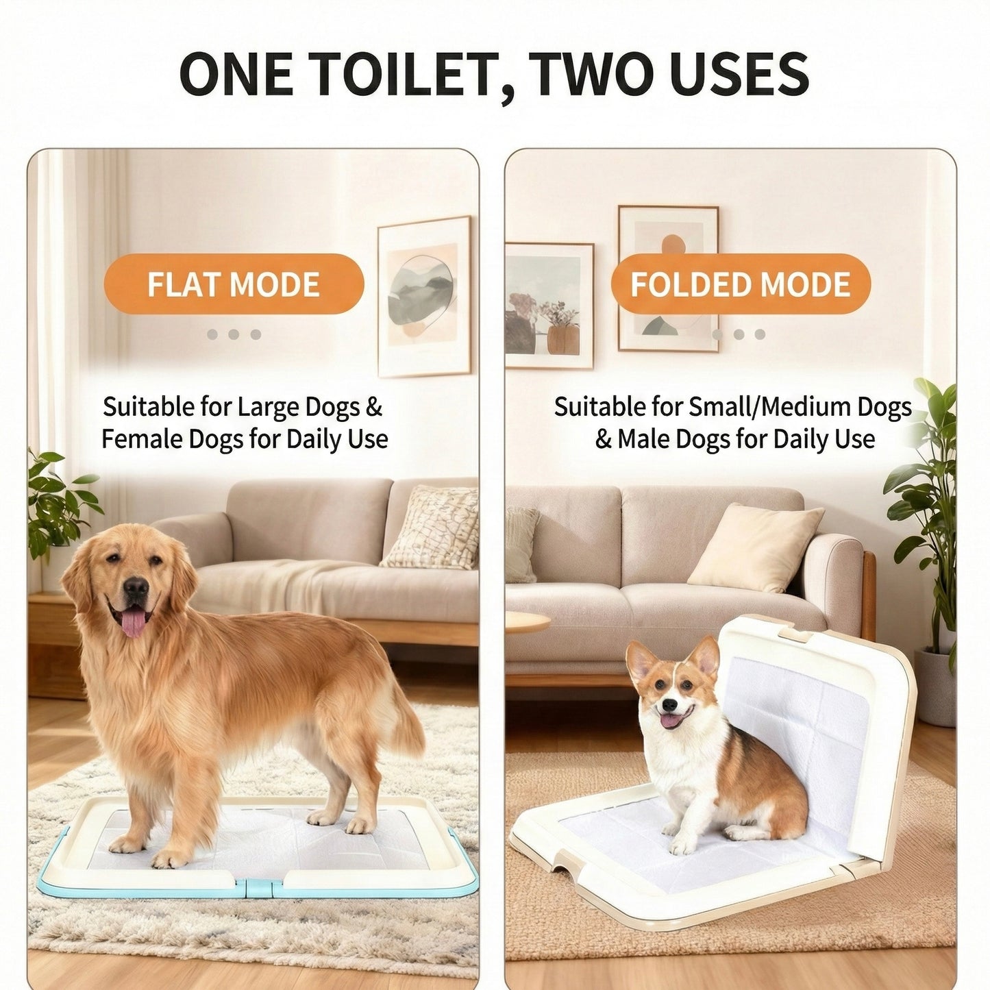 Dog Toilet