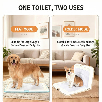 Dog Toilet