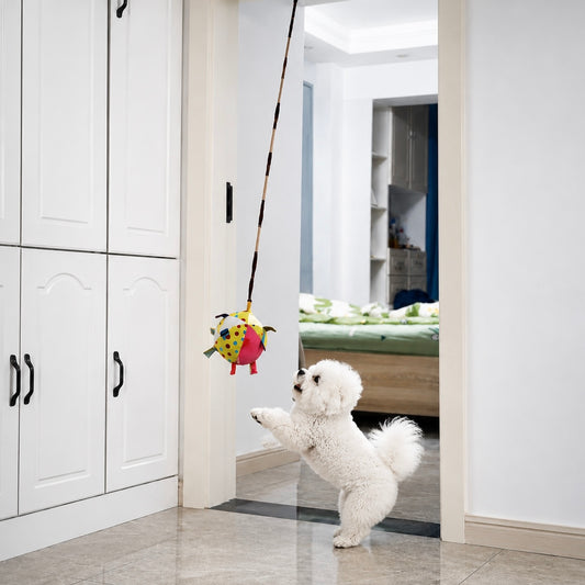 Colorful Squeaky Hanging Dog
Training Toy
