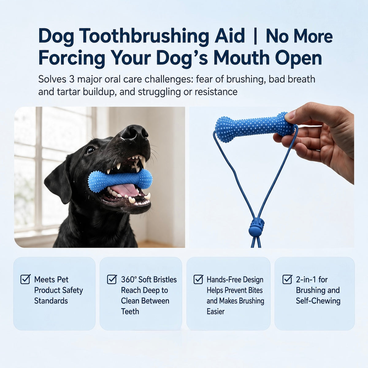 Dog Playful Dental Care