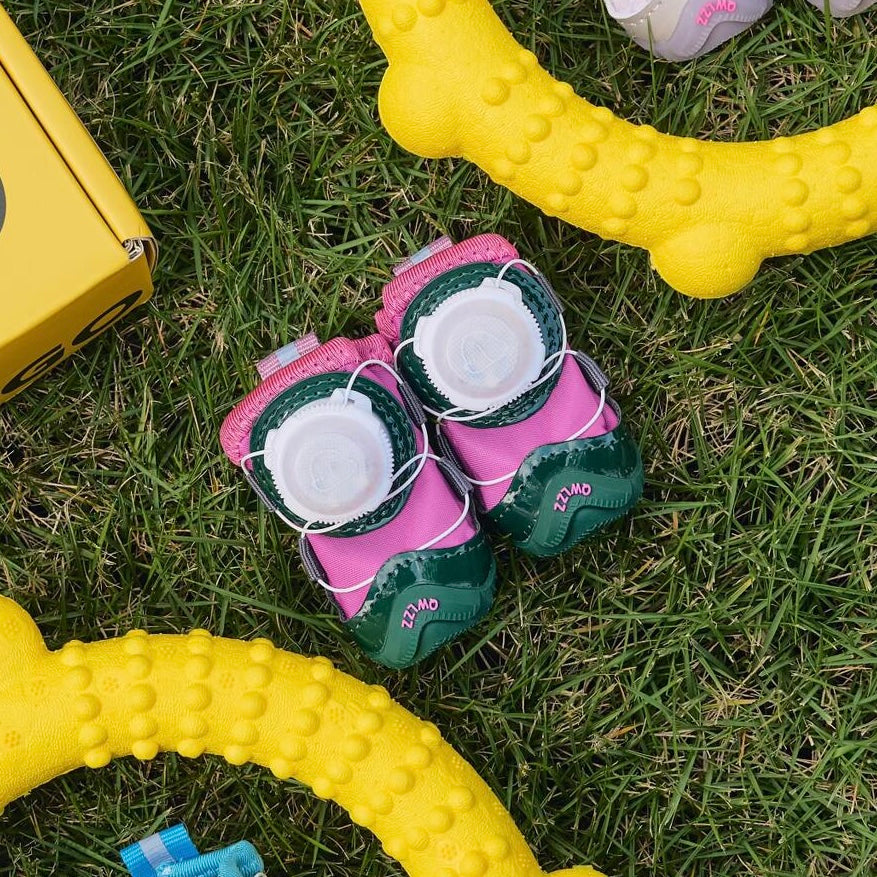 New lighting Dog winter Shoe ( 2 Pairs  ) for Front & Back Legs