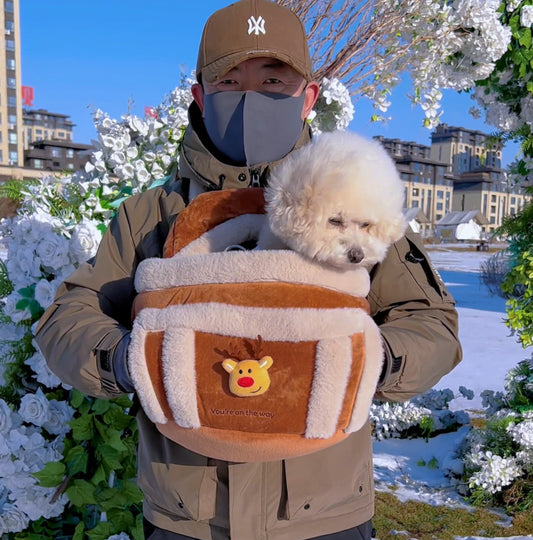 Dog backpack