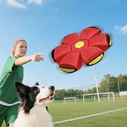 PetsLoveStory® BouncePop Ball