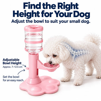 Self-Refilling Pet Water Dispenser