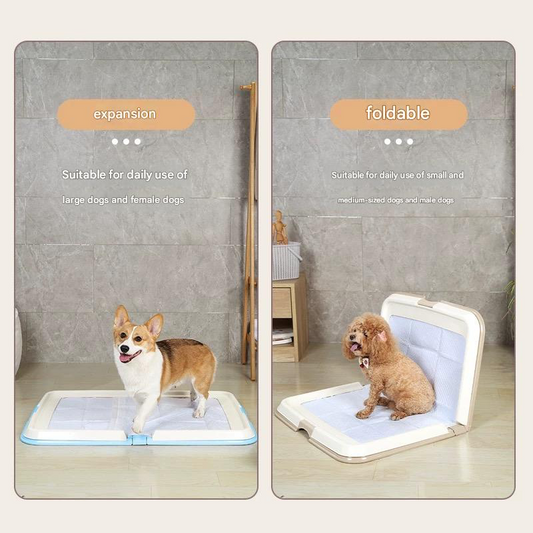 Dog Toilet