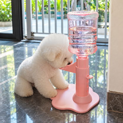 Self-Refilling Pet Water Dispenser