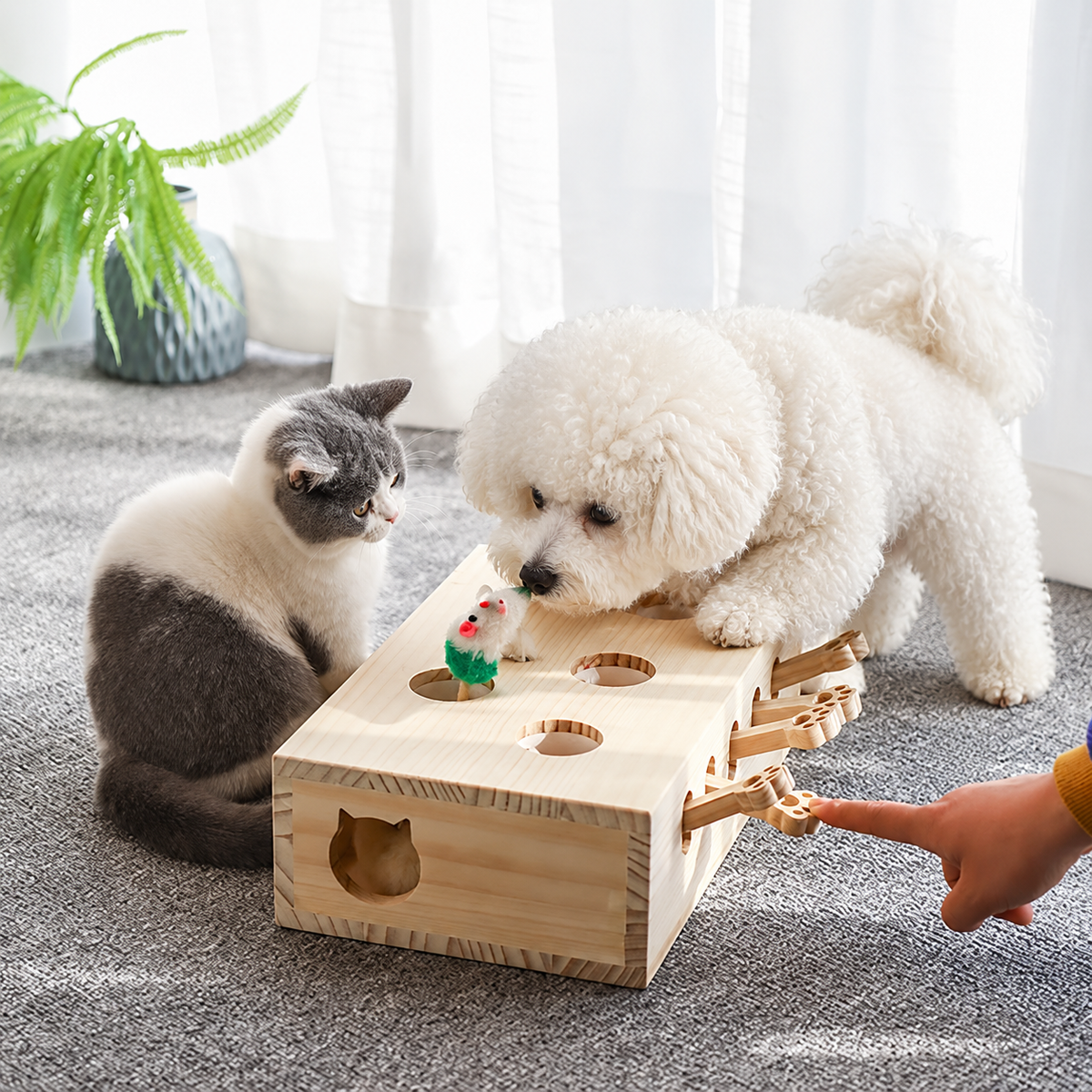 Wooden Whack-a-Mole Pet Game
