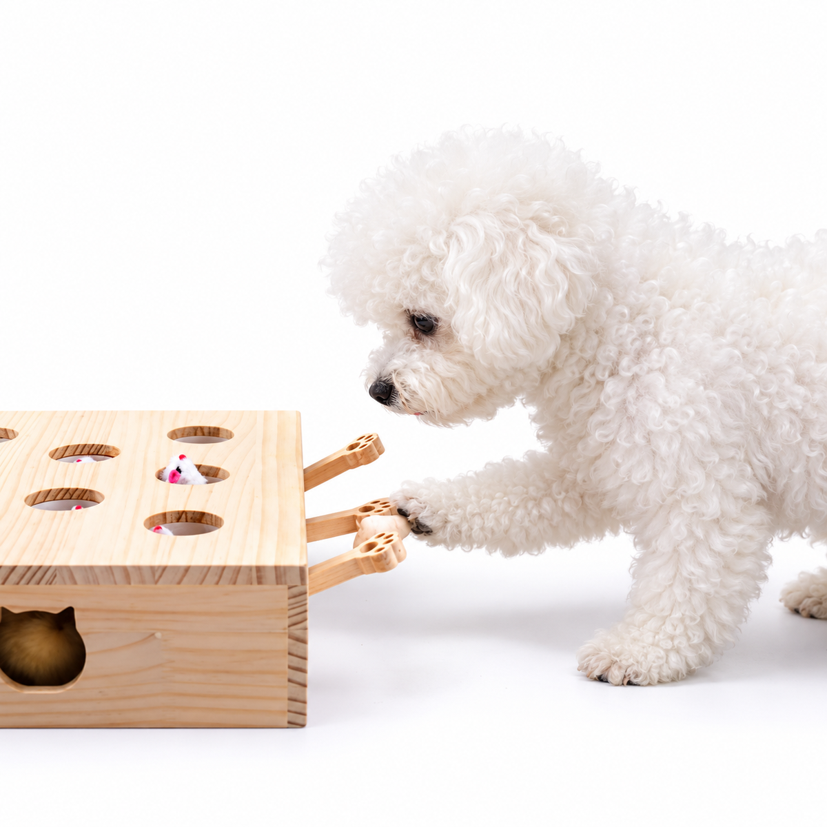 Wooden Whack-a-Mole Pet Game