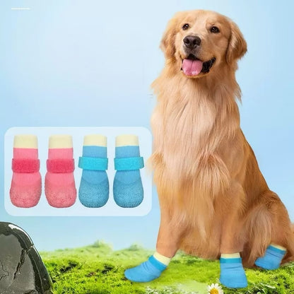 Cute pet shoes