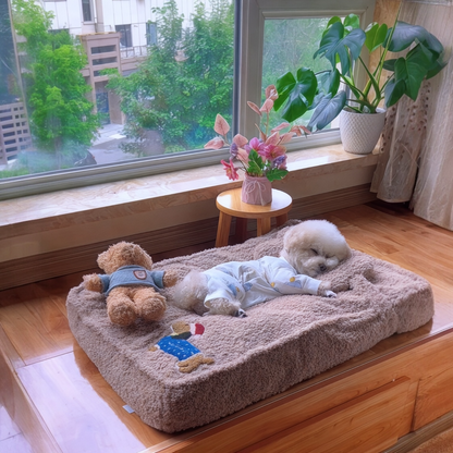 Nova cama aconchegante para animais de estimação