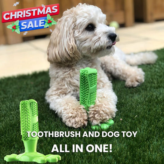 PetsLoveStory® Toothbrush Toy - PetsLoveStory®