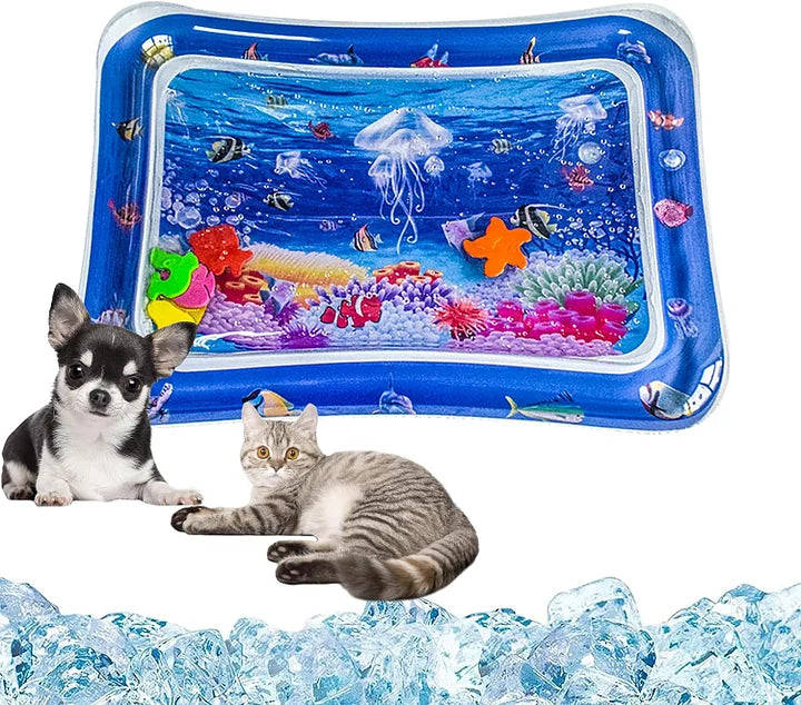 Pet Inflatable Water Play Mat