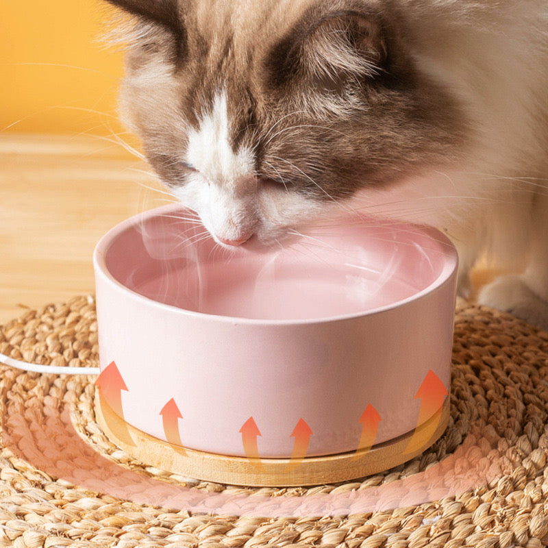 Self-Heating Thermal Pet Water Bowl