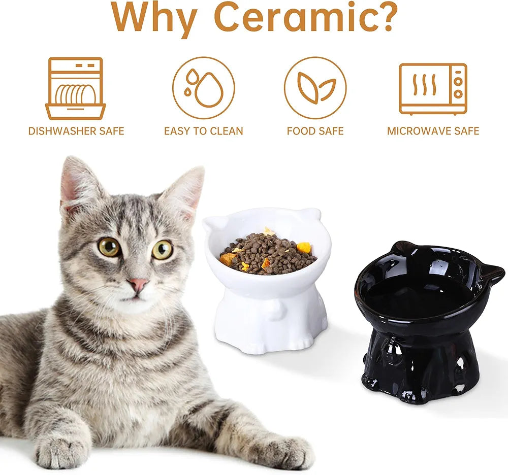 2pcs Ceramic Elevated Cat Bowls for Indoor Cats