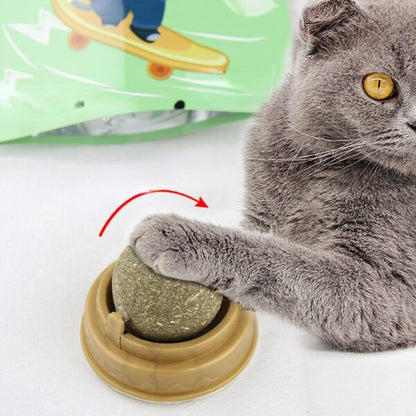 Catnip licking Ball For Cats