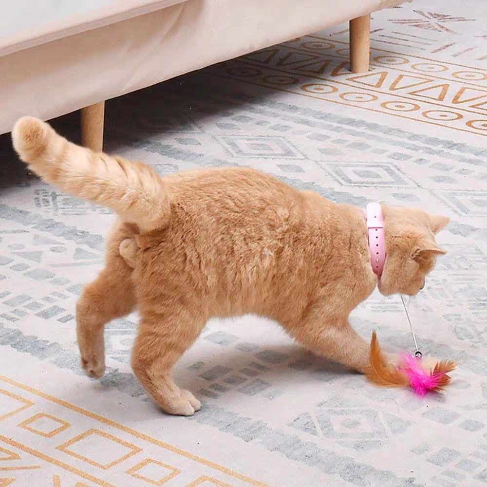 Cat Toys Feather Collar Self-healing