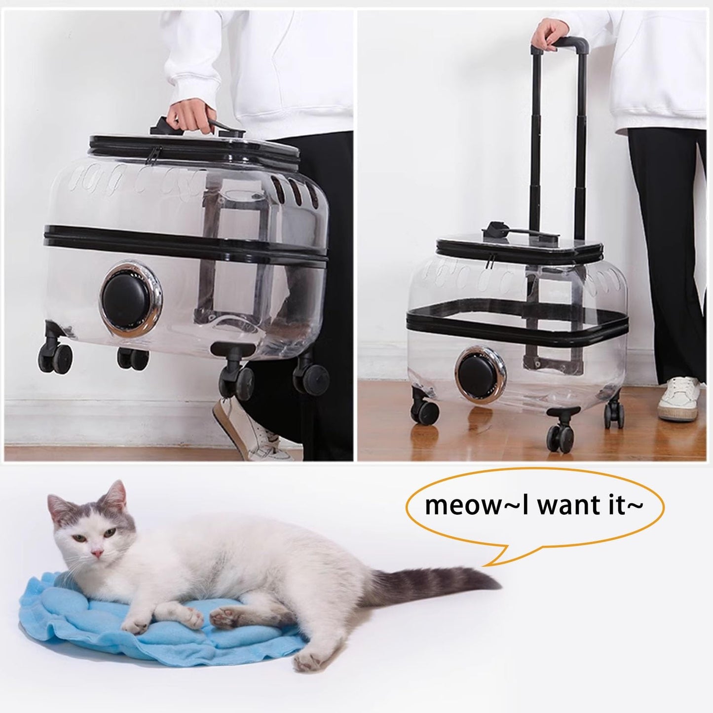 PetsLoveStory® Transparent Pet Travel Trolley