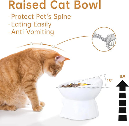 2pcs Ceramic Elevated Cat Bowls for Indoor Cats