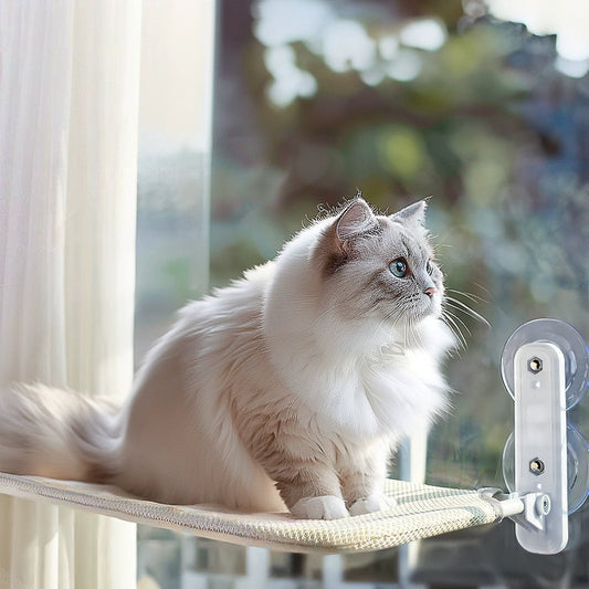 Cat Window Hammock