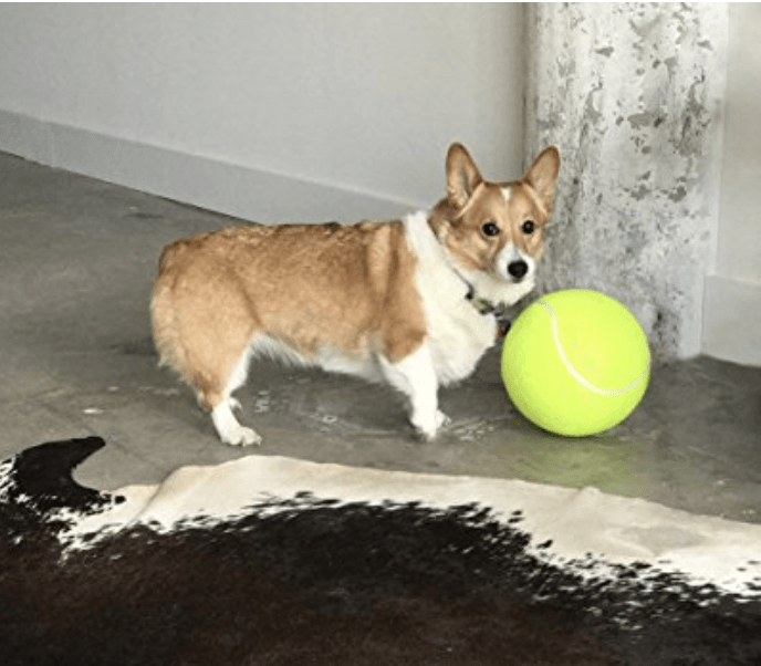 Giant Tennis Ball Toy for Pets 9.5" (24cm)