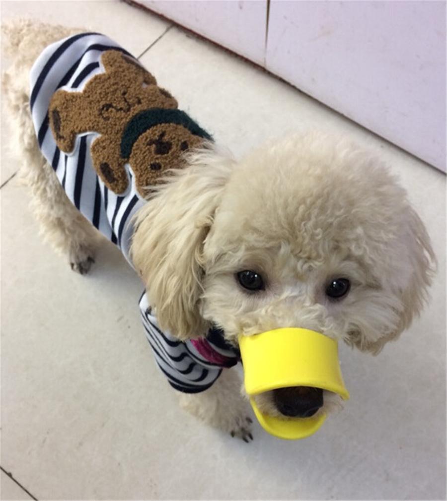 Dog Muzzle – Cutest Adjustable Duck Mouth For Your Dog