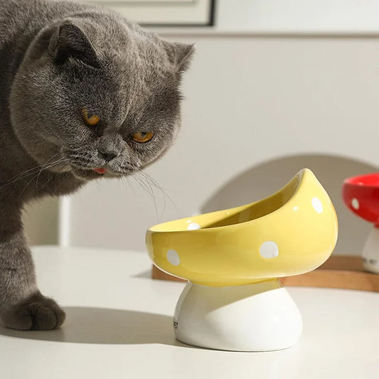 Cat Bowls Raised Cat Food Bowls