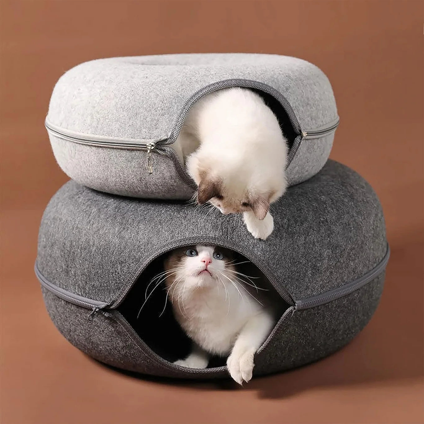 Cat Tunnel Bed for Indoor Cats