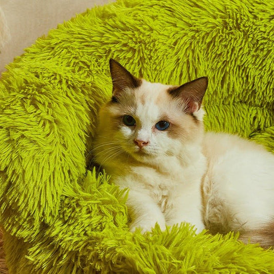 Horn Monster Pet Bed - PetsLoveStory®