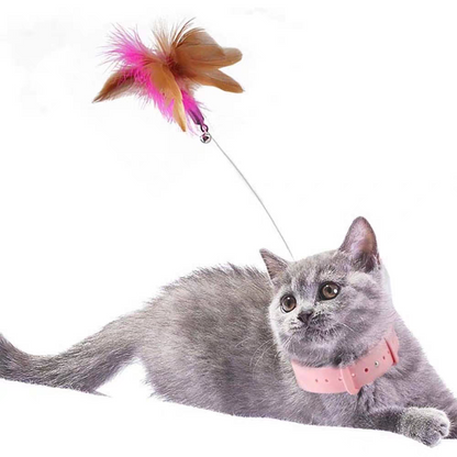 Cat Toys Feather Collar Self-healing