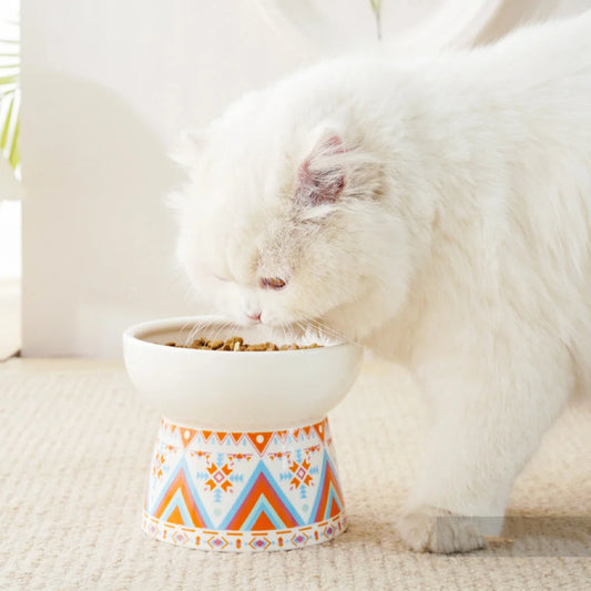 Ceramic Bowl for cat