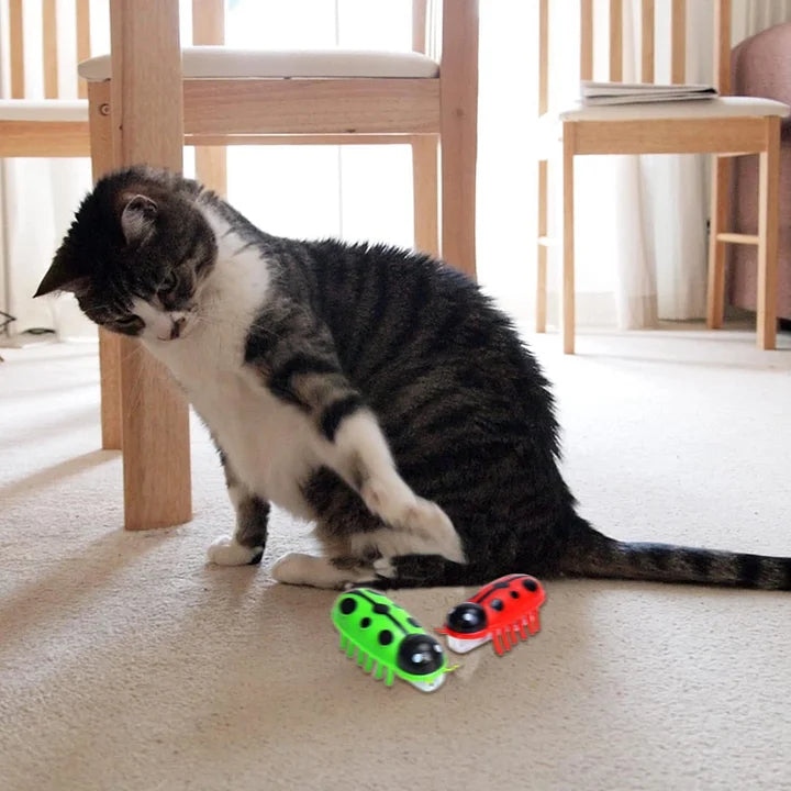 Electronic Cat Toy Cat Interactive Toys for Indoor