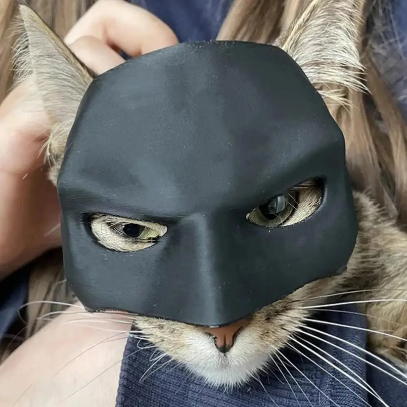 CatMan (Batman Mask For Cats)